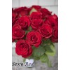 Саженец чайно-гибридной розы Секси Рэд (Sexy red)